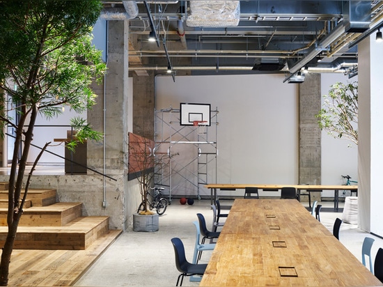 the planters soften the space whilst the basketball net adds a playful tone