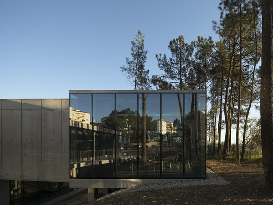 meeting room for healthy, nature influenced brainstorming sessions