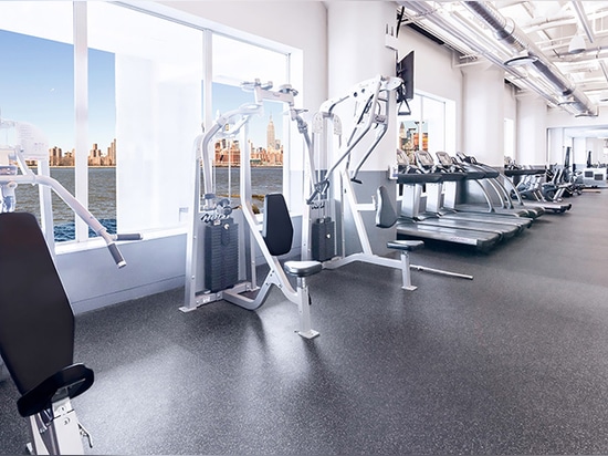 a look inside new york's most luxurious gyms and fitness centers