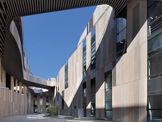 the voids cut through the building allowing light into the public zones