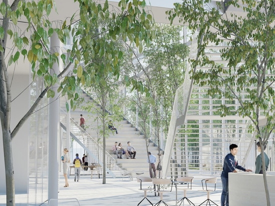 a wide atrium is inhabited by light vegetation