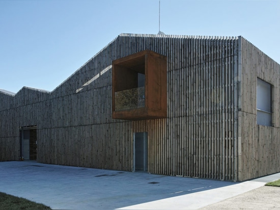 Beautiful beechwood envelope filters light into modern Italian BIO winery