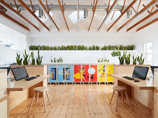 birkenstock australia HQ designed with greenery and sustainability at its core