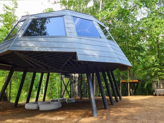 A treehouse unlike any other