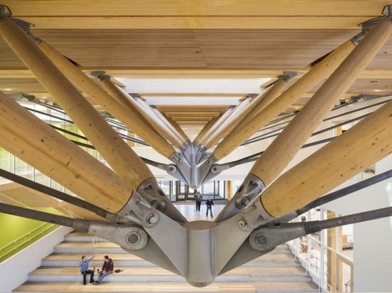 Nation’s largest cross-laminated timber academic building is an icon of sustainability