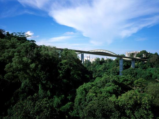 HENDERSON WAVES