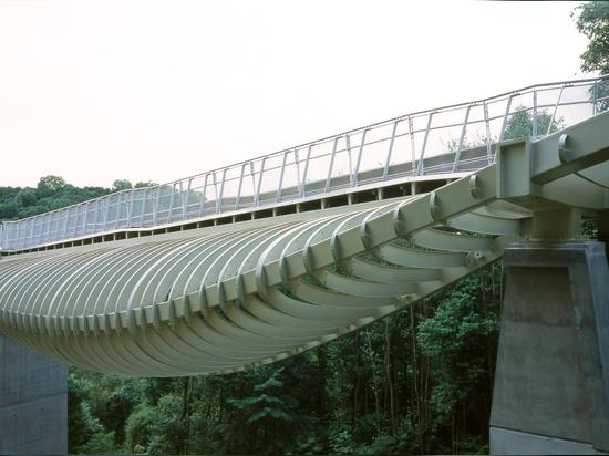 HENDERSON WAVES