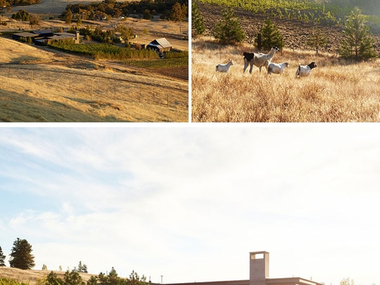 A New Building For This Winery In The Hills Of Washington State