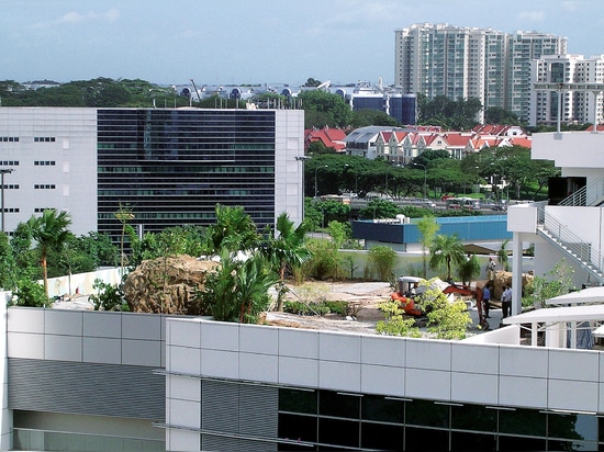 Local palm trees were planted in a 1,20 m deep substrate layer.