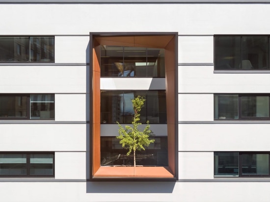 Perkins + Will overhauls a boring concrete warehouse into beautiful LEED Gold offices