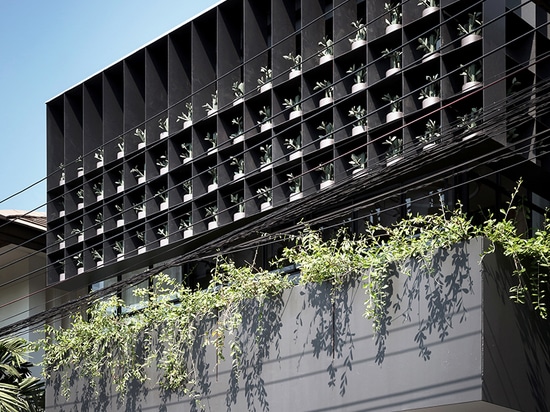 anonym studio turns old living estate in bangkok into a vibrant flower cage house