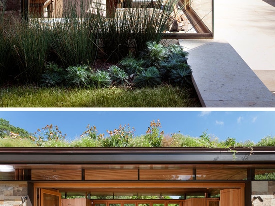 This Poolhouse In Texas Is Covered With A Lush Green Roof