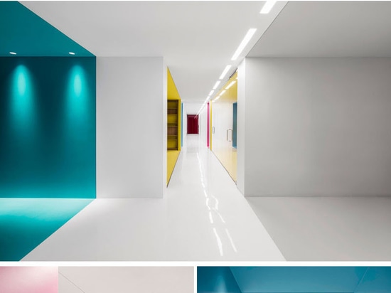 This Office Interior Used Color To Create Distinct Spaces