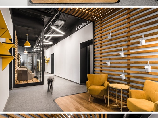 This New Office Interior Uses Wood And Black Frames To Clearly Define Spaces