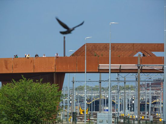 Solar-powered Paleisbrug pedestrian and cycle bridge doubles as a raised park in The Netherlands