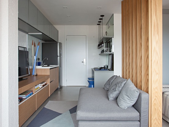 This Small Apartment Makes Efficient Use of Limited Space With Thoughtful Interior Design