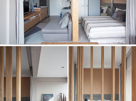 This Small Apartment Makes Efficient Use of Limited Space With Thoughtful Interior Design