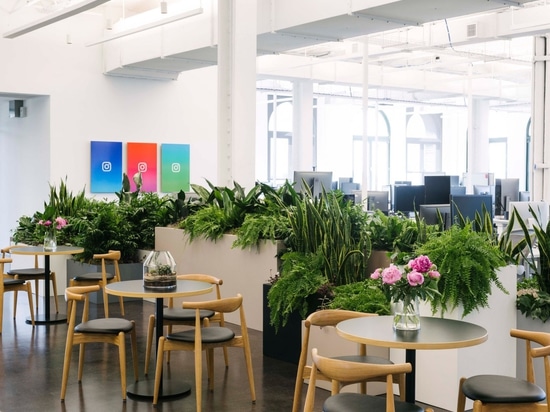 Instagram's new Manhattan offices by Gehry Partners provide ample photo opportunities