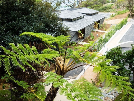 'nest at amami' is a remote japanese beach village built between the sky and the sea