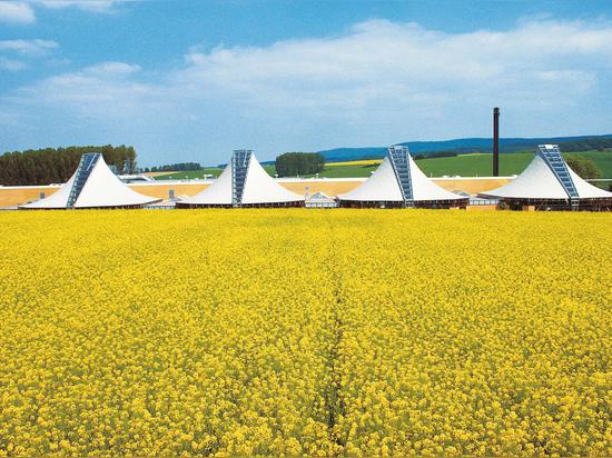 The four production pavilions were completed in 1987 to house Wilkhahn’s sewing and upholstery shops. Their sweeping curved tepee-like forms sit comfortably in the landscape.