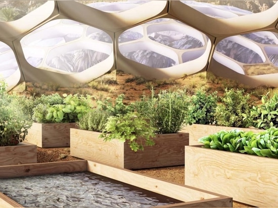 These beautiful desert biodomes will be 100% self-sustaining