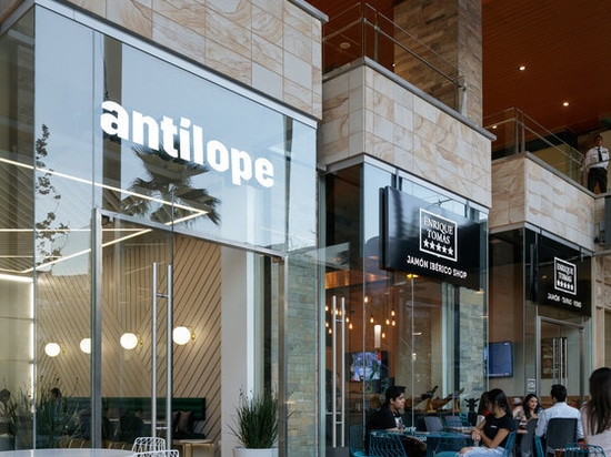 ANTILOPE