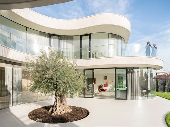 MVRDV curves casa kwantes around a single olive tree