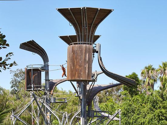 Perth Zoo Orang-utan Exhibit – Jungle School