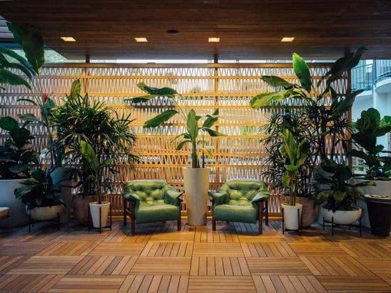 OMFGCO updates branding and interiors for Hawaii's Laylow Hotel