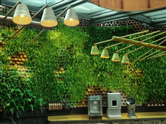 This restaurant in London has a gorgeous living wall that purifies air and absorbs noise