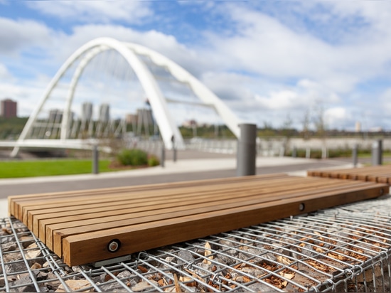 Walterdale bridge