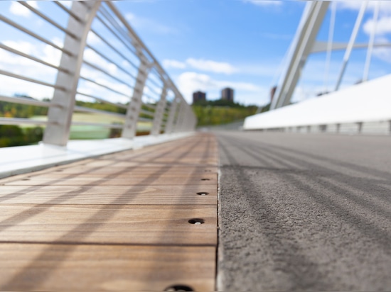 Walterdale bridge