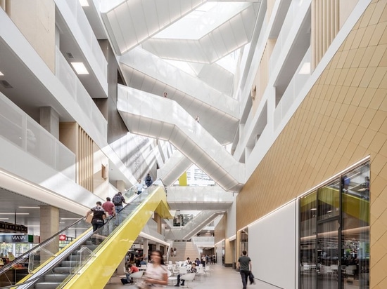 schmidt hammer lassen connects dutch university's facilities with crisscrossing stairways