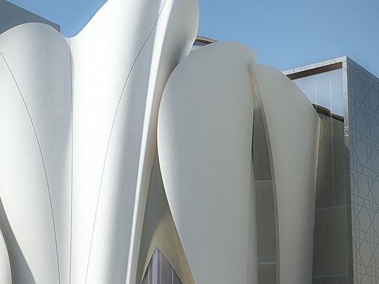 oversized petals characterize the exterior