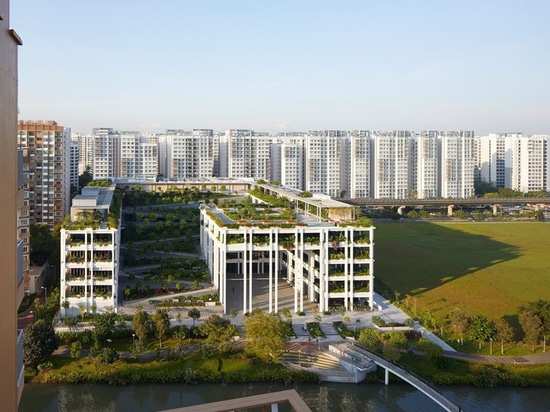 serie and multiply architects complete bucolic 'oasis terraces' in singapore