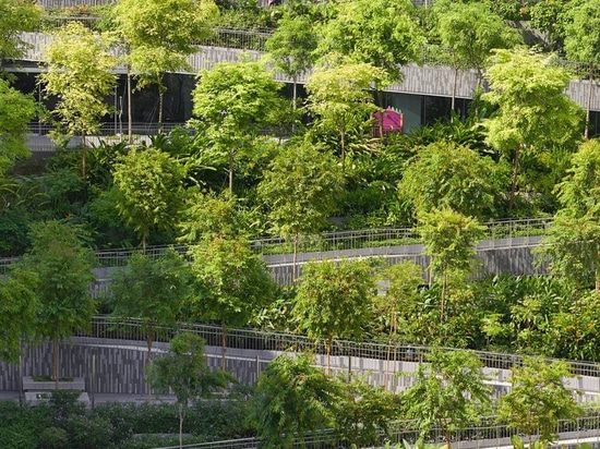 serie and multiply architects complete bucolic 'oasis terraces' in singapore