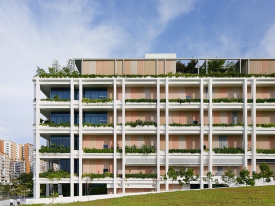 serie and multiply architects complete bucolic 'oasis terraces' in singapore