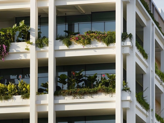 serie and multiply architects complete bucolic 'oasis terraces' in singapore