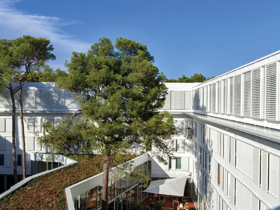 aerial perspective of the atrium reveal the ecologically sensitive living roof facade