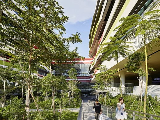 natural vegetation permeates the campus