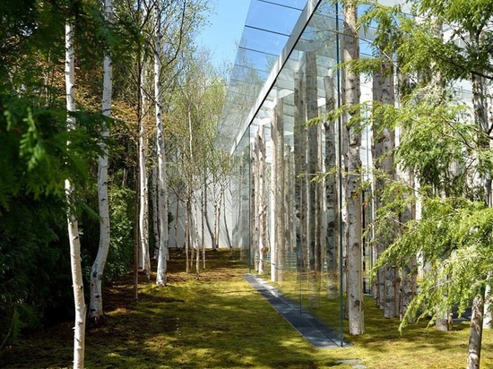 kengo kuma combines tree trunks and glass for the birch moss chapel in japan