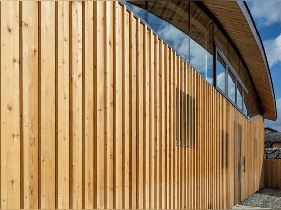 curved wood lattice roof hangs above nasca's blue sky nursery school in japan