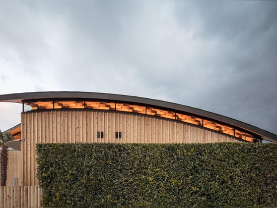 curved wood lattice roof hangs above nasca's blue sky nursery school in japan