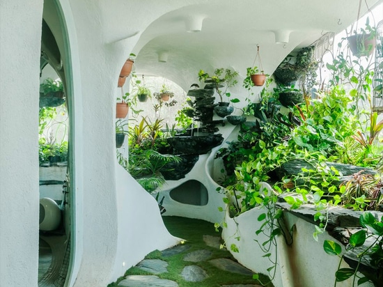 Garden Room: Transforming an Urban Mumbai Apartment into a Lush Oasis