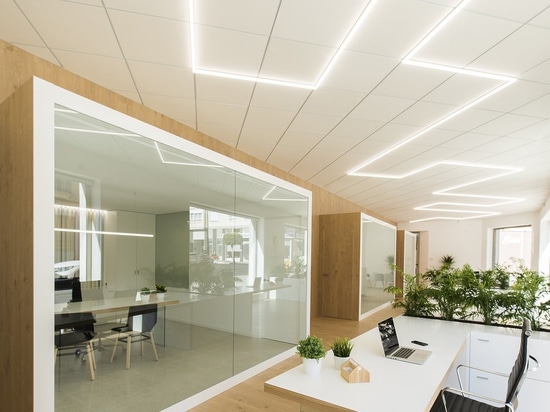 Offices - Casado & Pujol