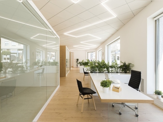 Offices - Casado & Pujol