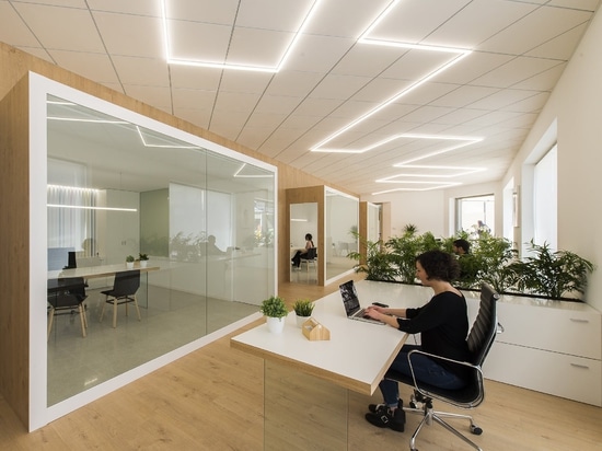 Offices - Casado & Pujol