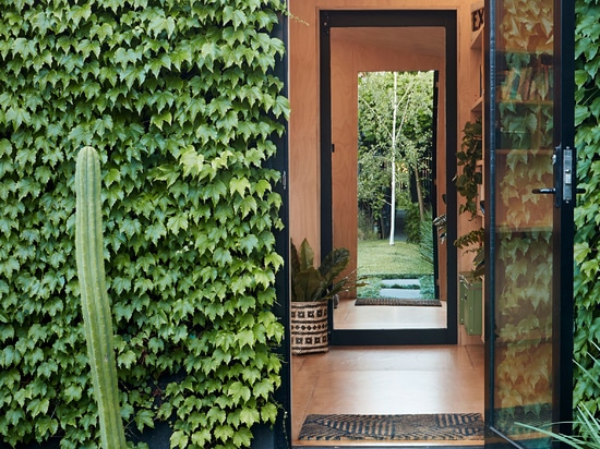 Writer's Shed is a tiny garden studio in Melbourne covered in ivy