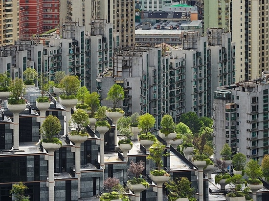 heatherwick studio's mixed-use '1000 trees' development takes shape in shanghai