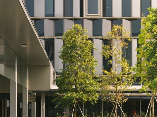 serie and multiply architects complete flagship building at singapore science park